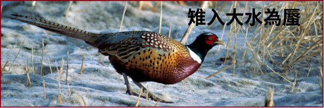 Beginning of Winter 立冬