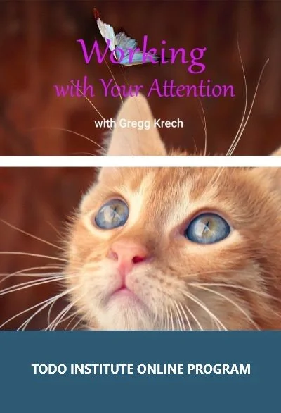 Working with Attention Course