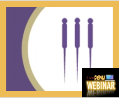 Understanding De Qi in the Neijing: Clinical Applications of Dao Ma and Point Combination Principles (ONLINE)