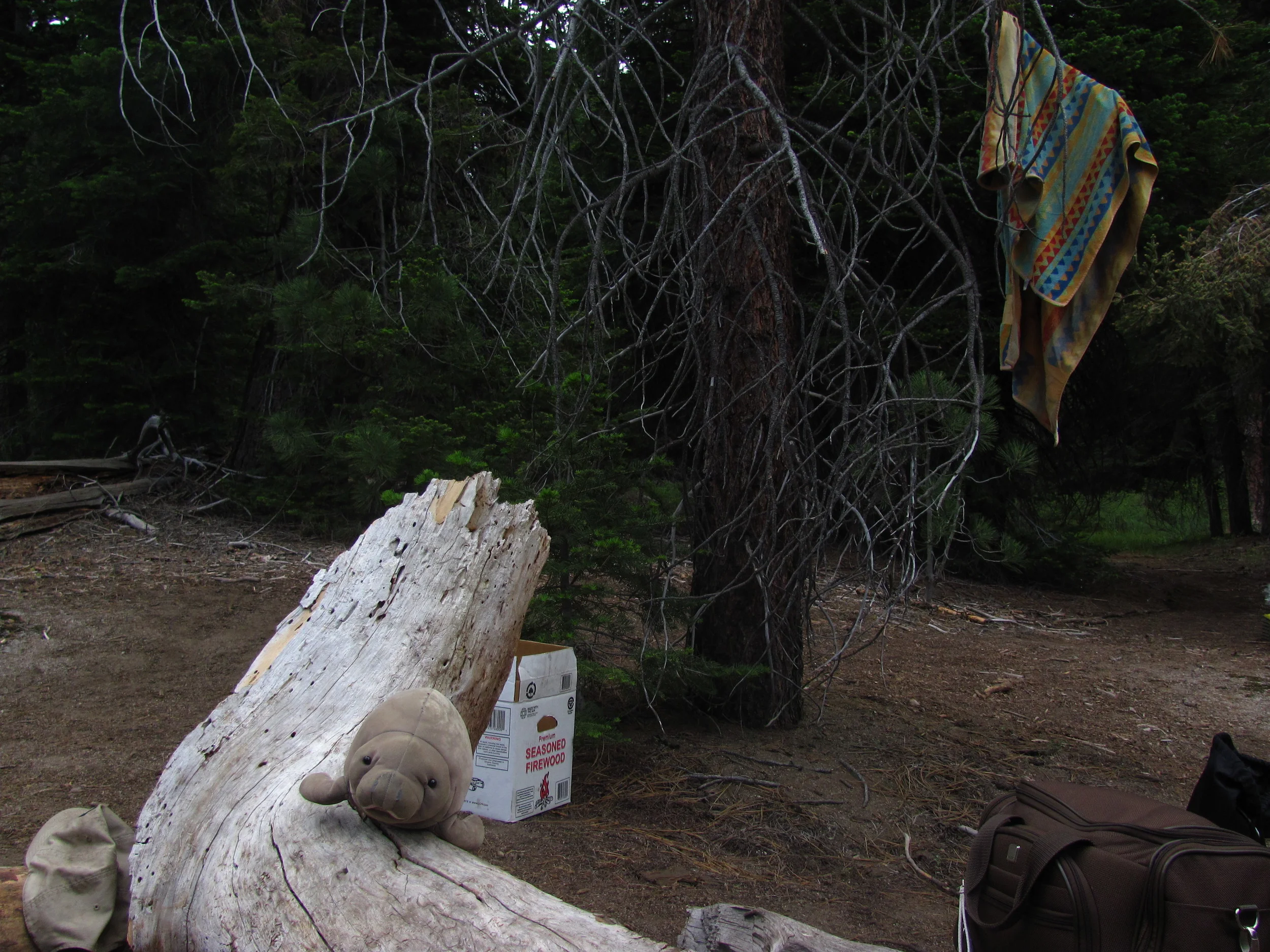Klaus Streusel, a Florida native, enjoying his time around the fire
