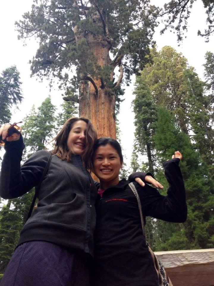 Photo by M. Fisken. &nbsp;We're tall tall trees, not afraid to show our limbs and double chins.