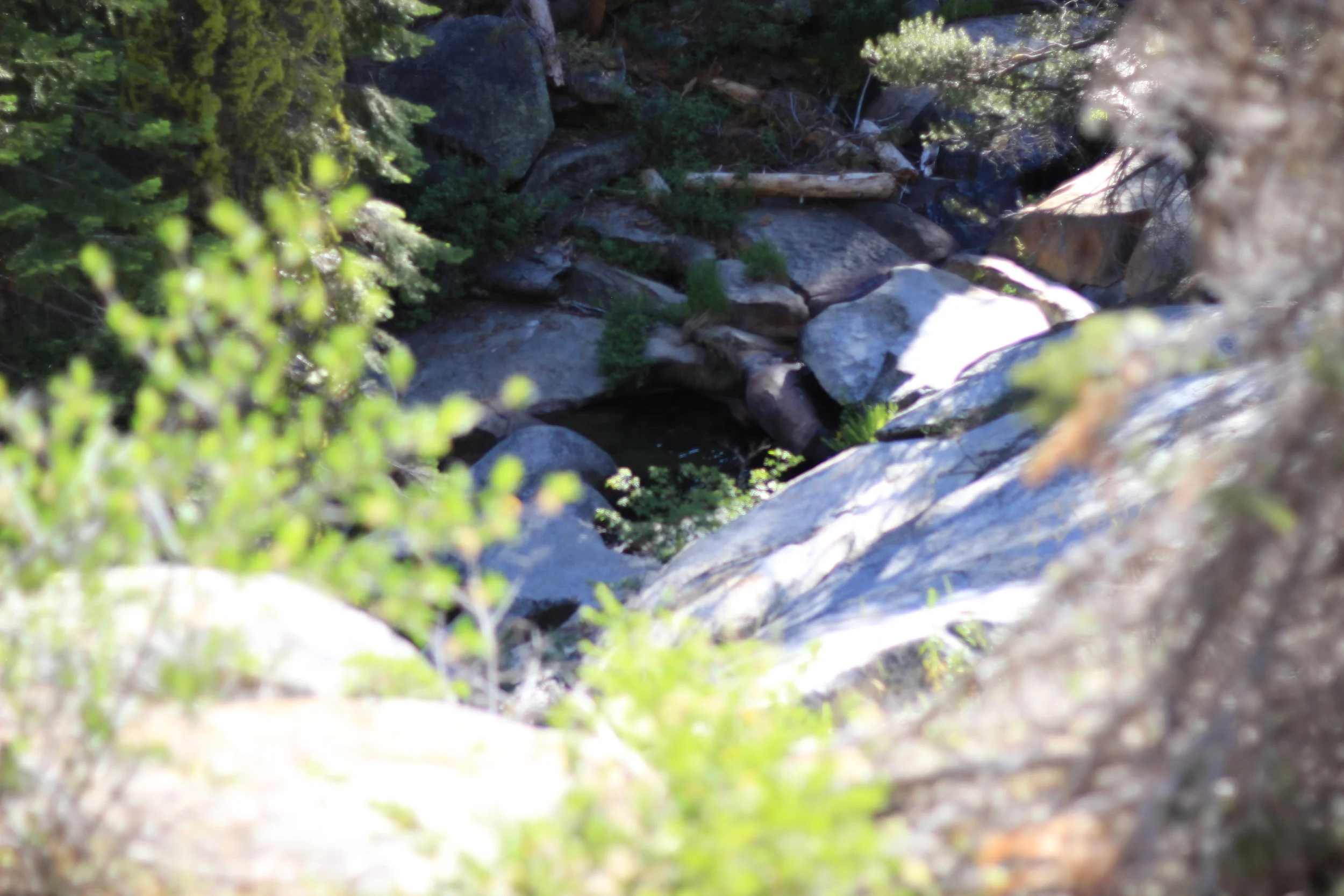 Think of it as a hot tub. &nbsp;A 50 degree, leech-infested hot tub.