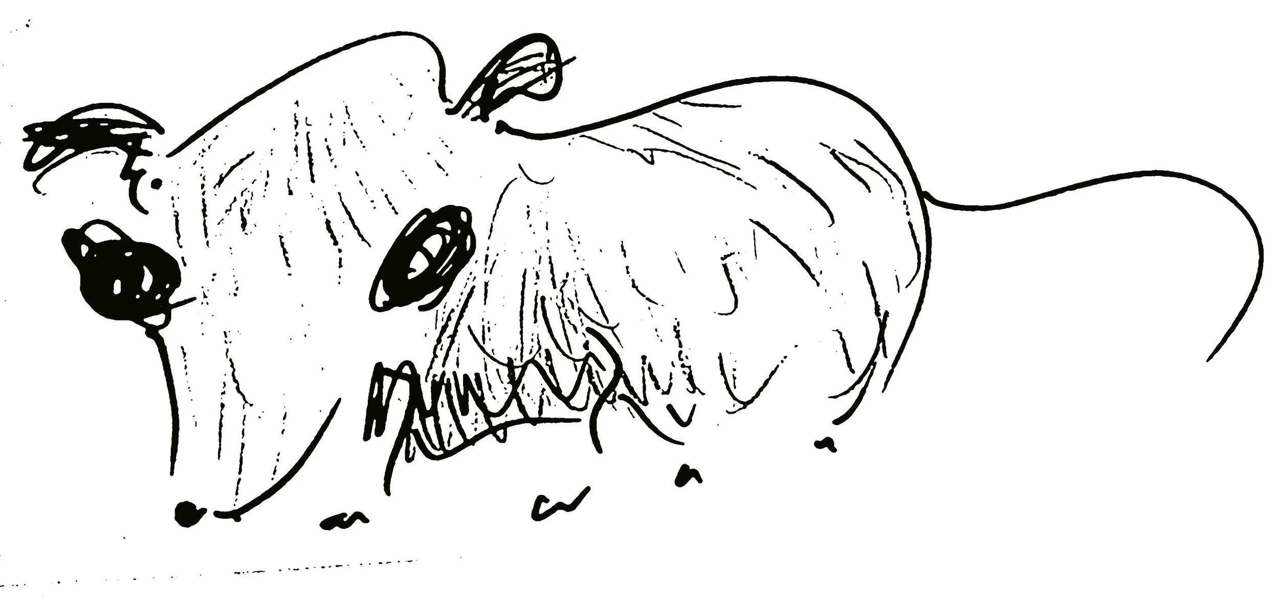 Screenplays: Patrick Tobin's "CAKE"