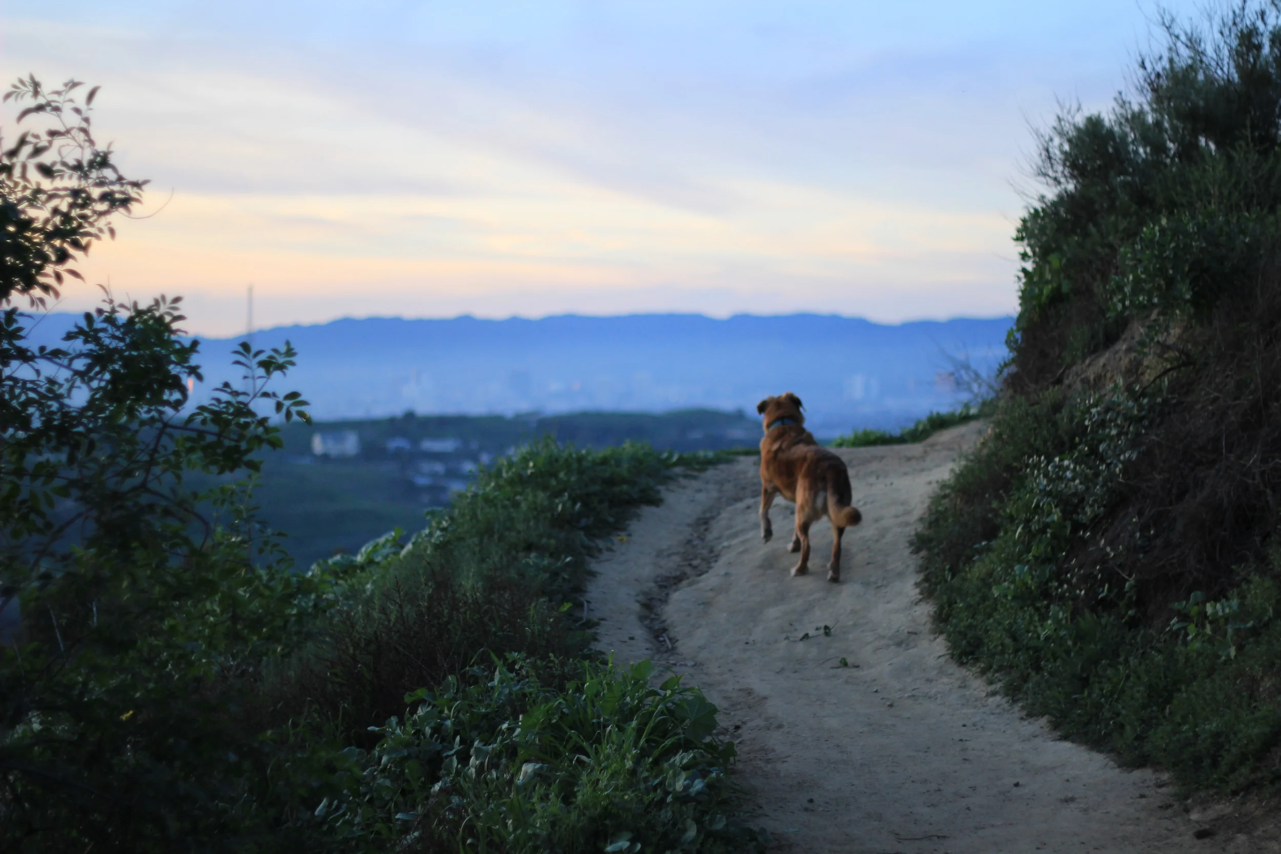 Doldrums - Video Hostage