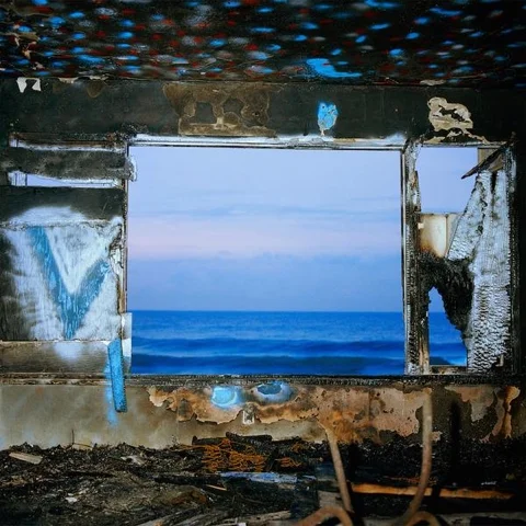 Deerhunter - Snakeskin
