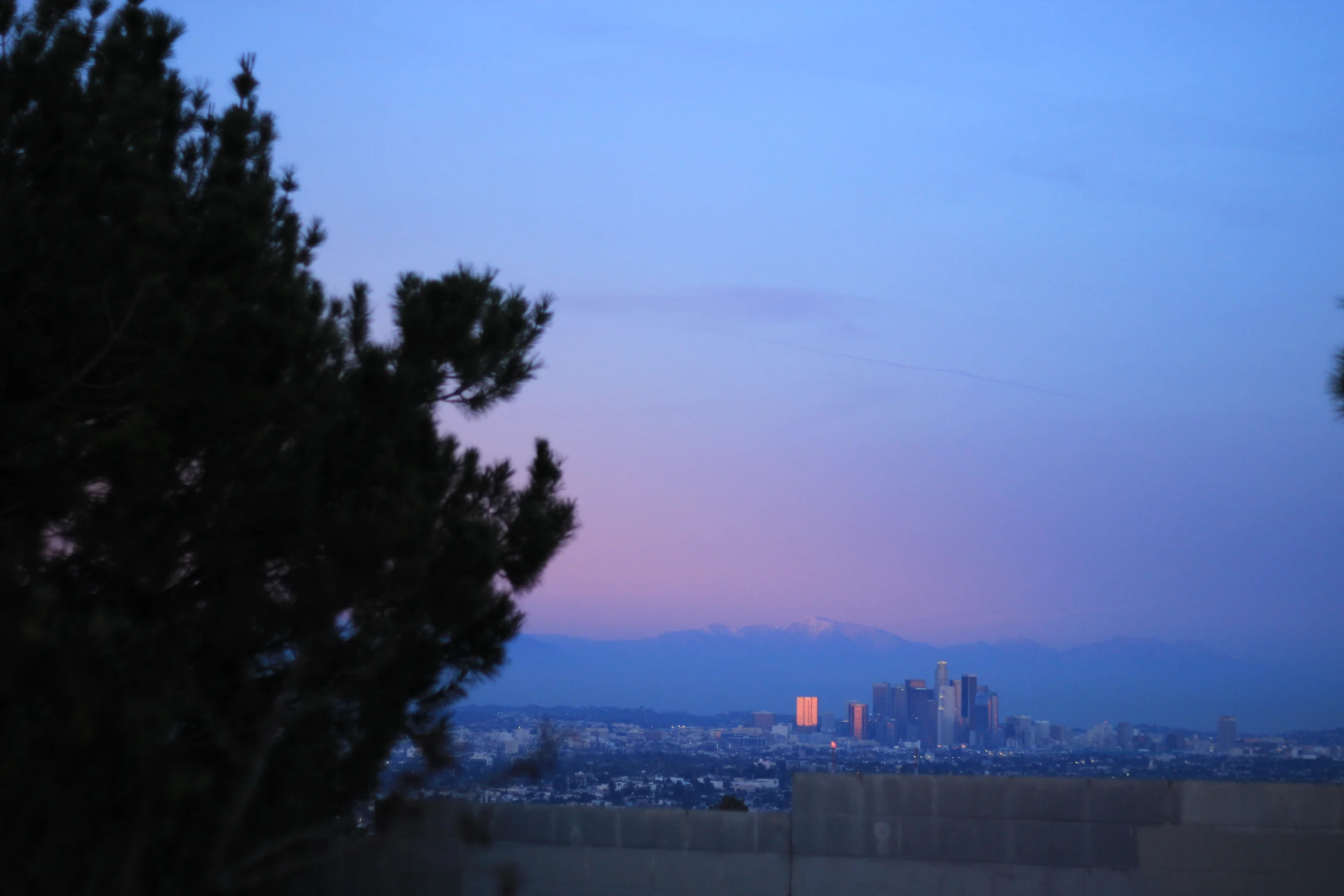 Bob Marley & The Wailers - Dreamland