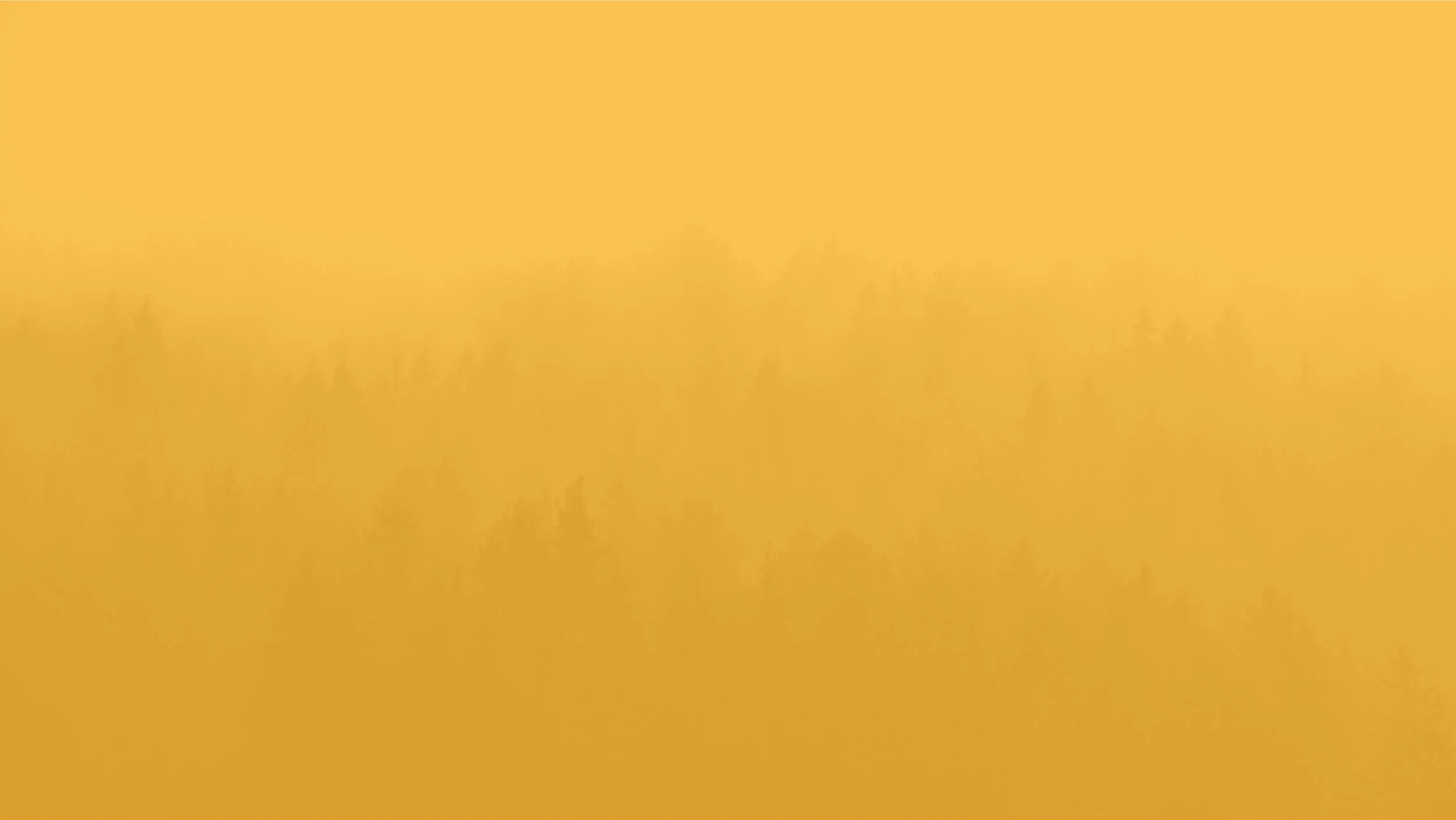 bg-yellow-forest.jpg