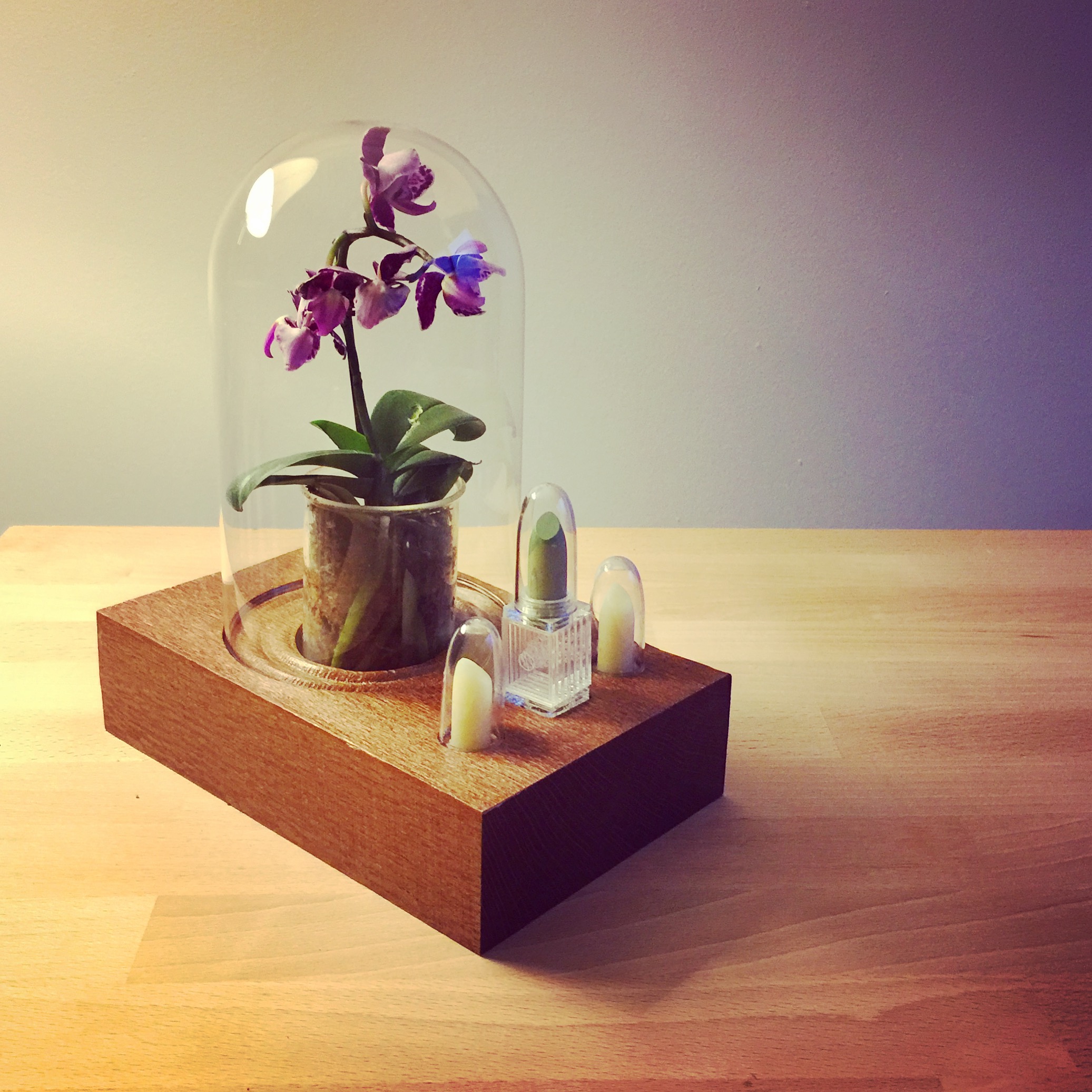 Photography by Ani Liu