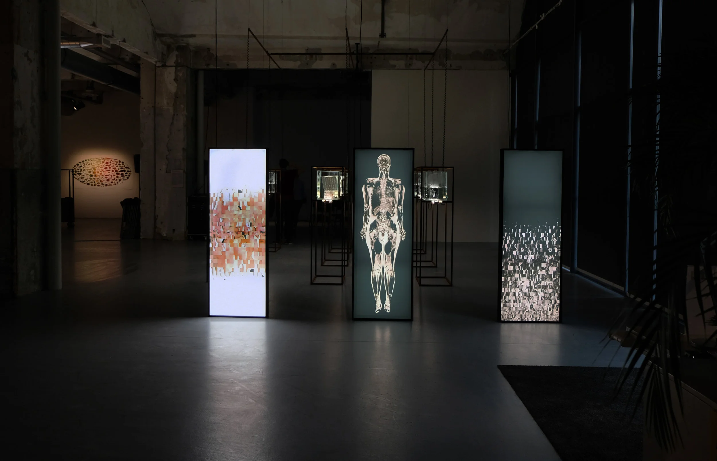algorithmic animal gaze light box install_small.jpg