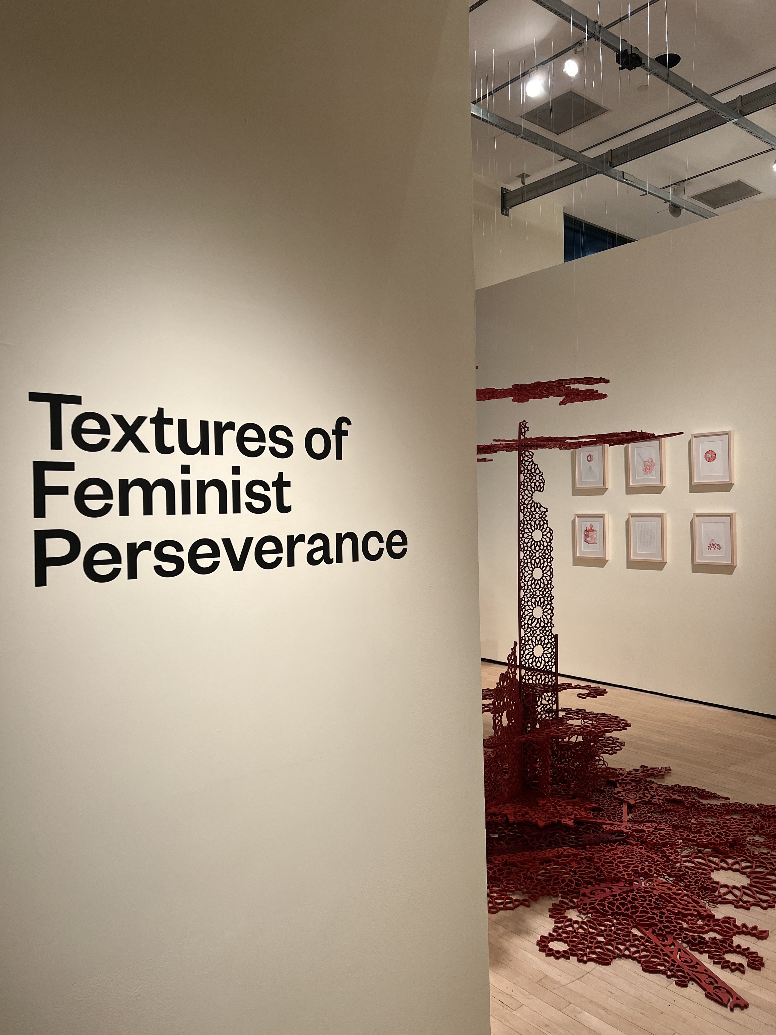 Textures of Feminist Preserverance.JPG
