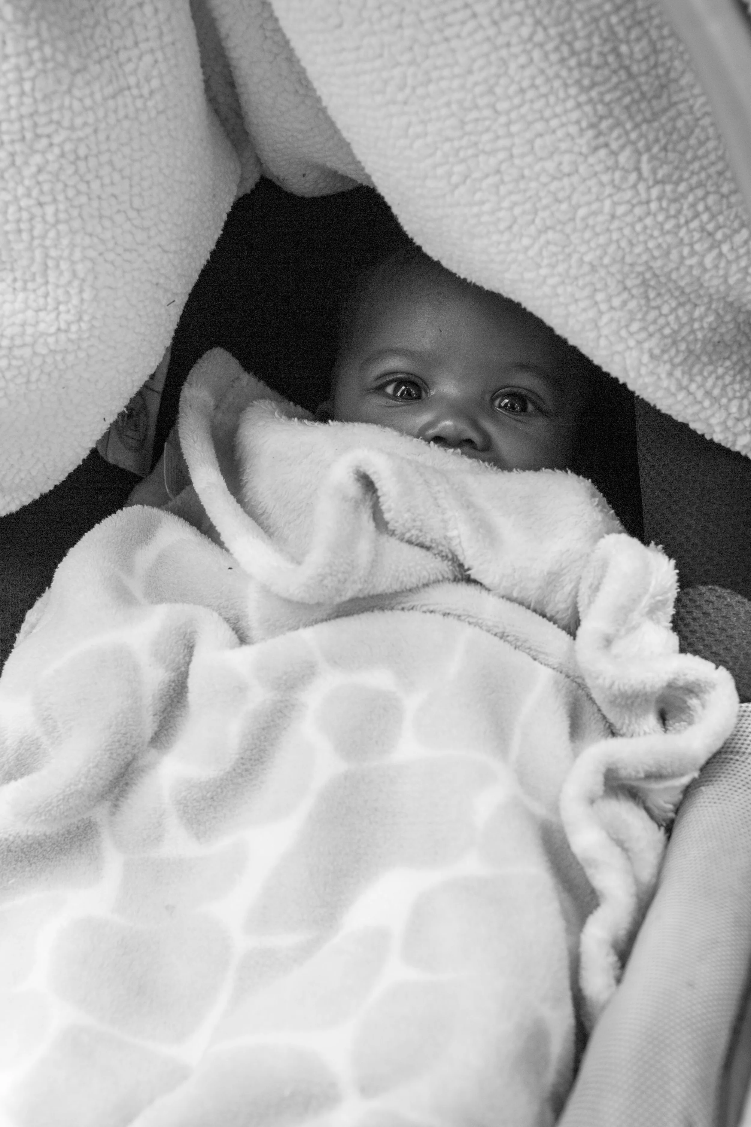 150509RichardsMother'sDay015Small.jpg