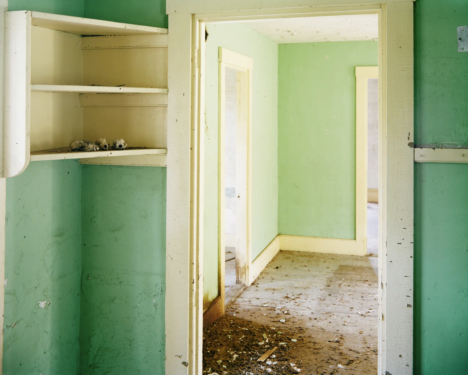 Vermin - Perkins Township, ME, 2013