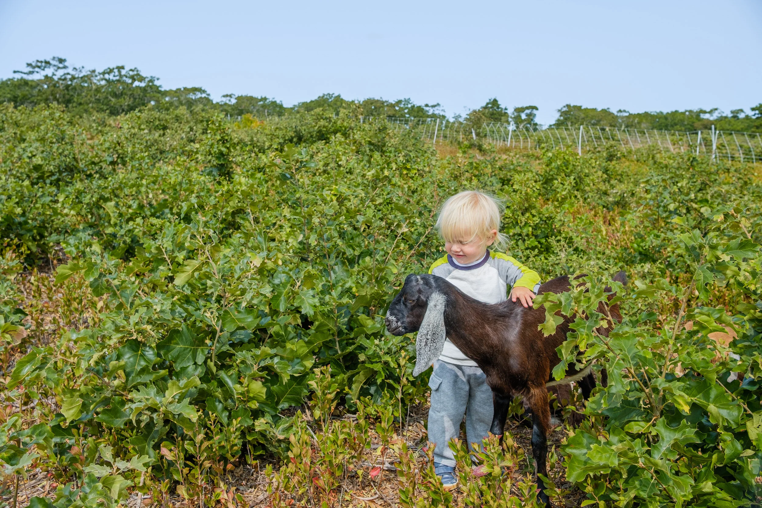 By the end of it Jonah and 43 were pals.