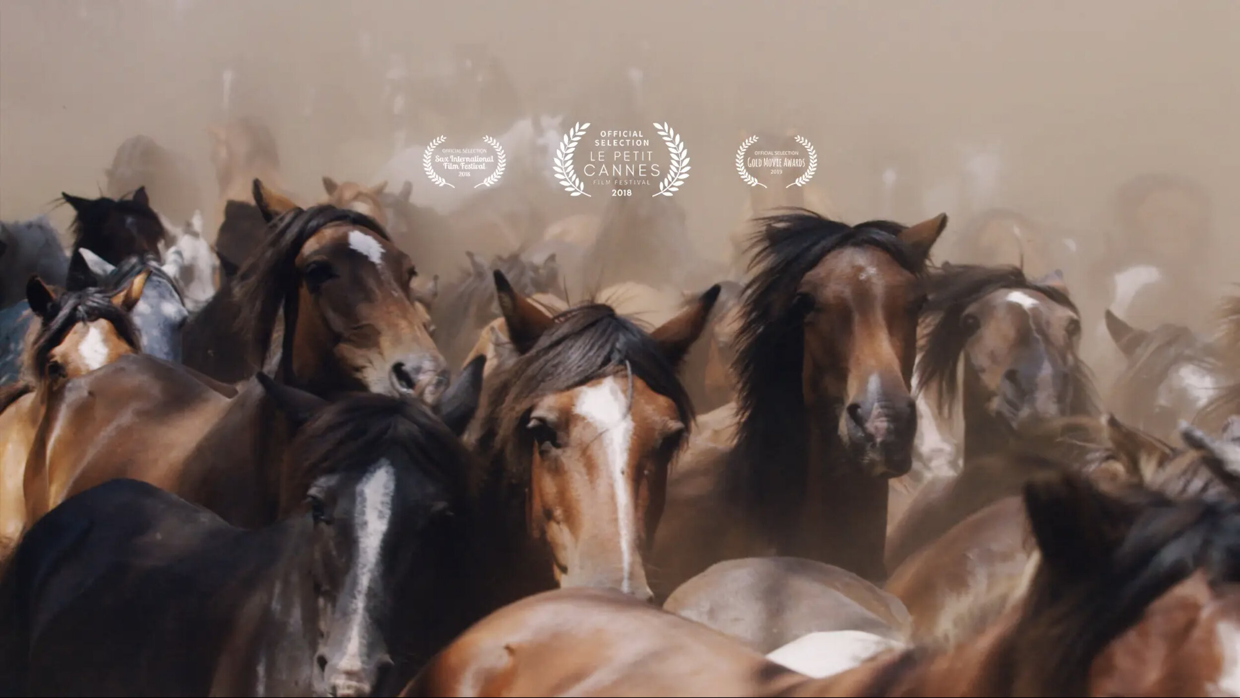 NOWNESS X BESTAS