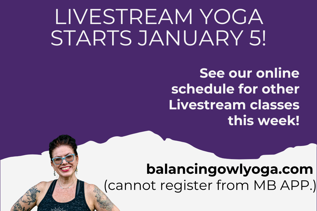 NEW- Livestream Classes