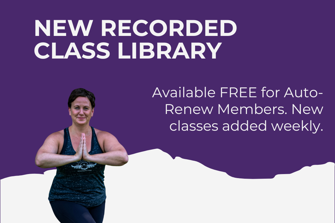 Recorded Class Library