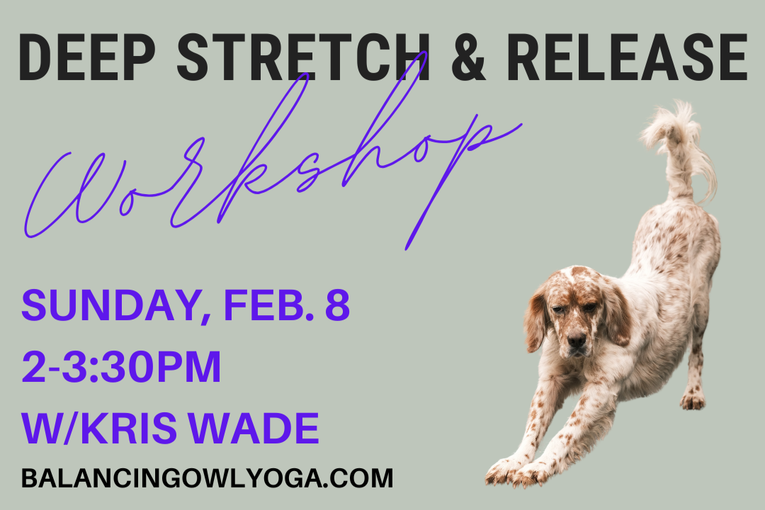 Deep Stretch Workshop- Feb. 8