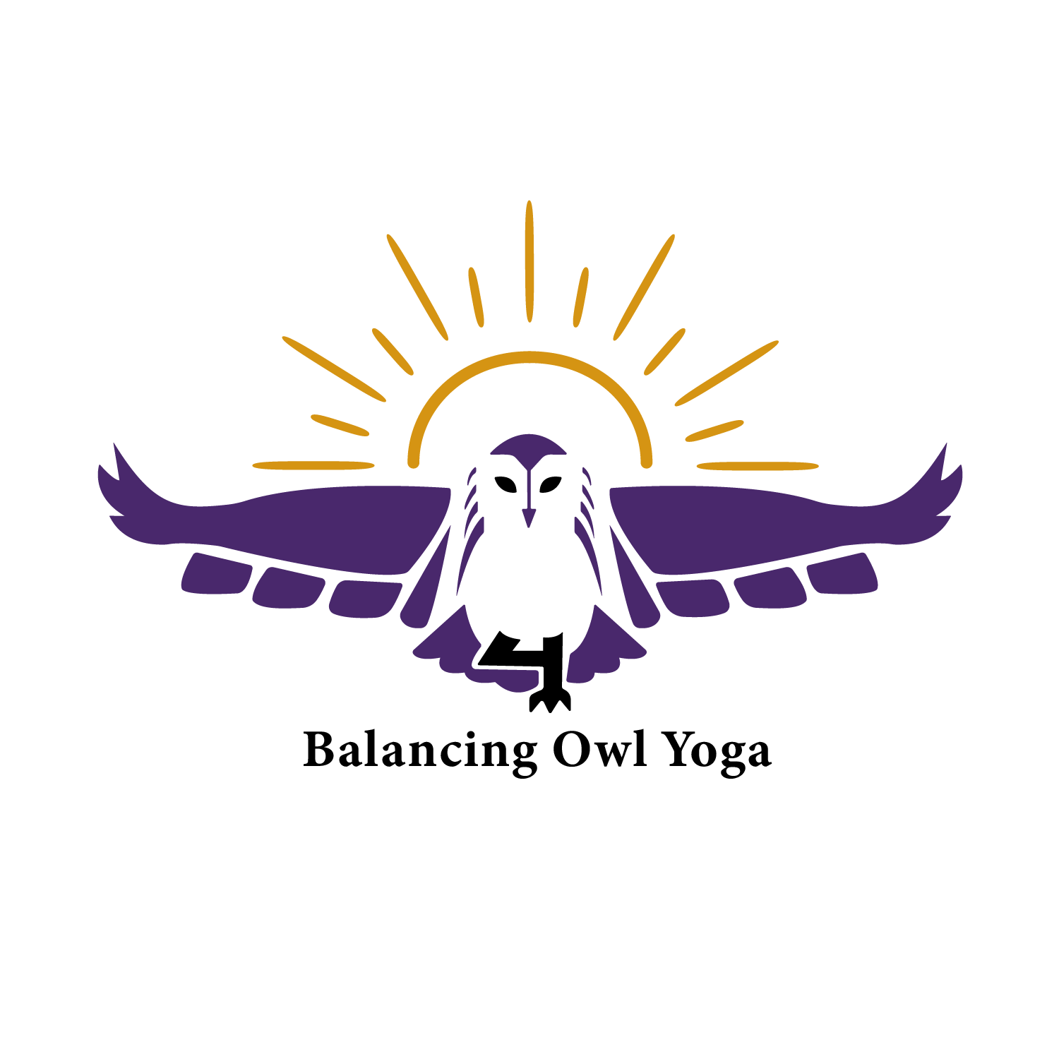 BOY logo1.png