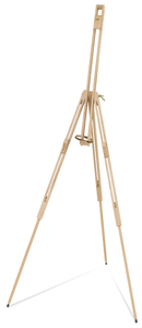 Field Easel