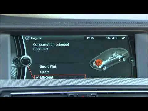 BMW Menu Blades.jpg
