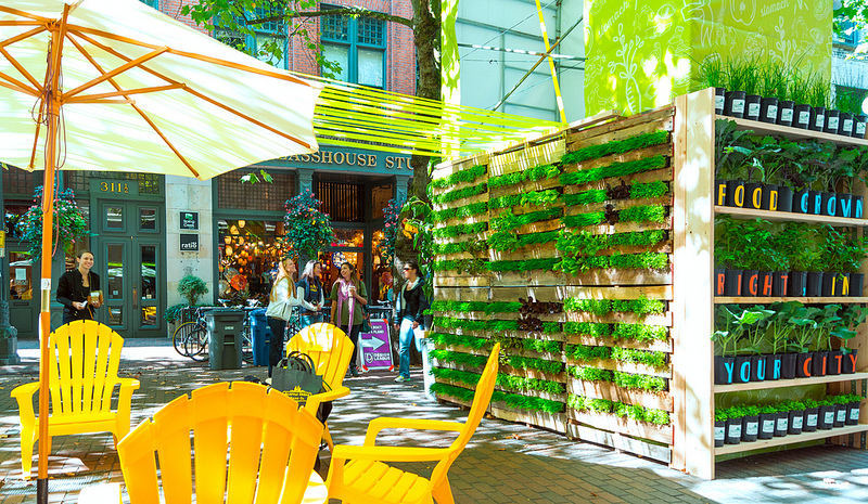 Vertical Garden Design_Seattle Design Festival_Seattle Urban Farm Company