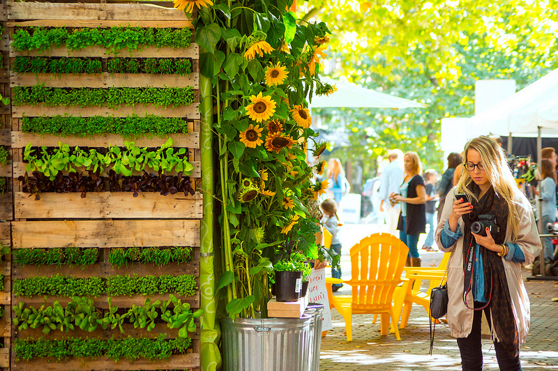 Vertical Garden Design_Seattle Design Festival_Seattle Urban Farm Company