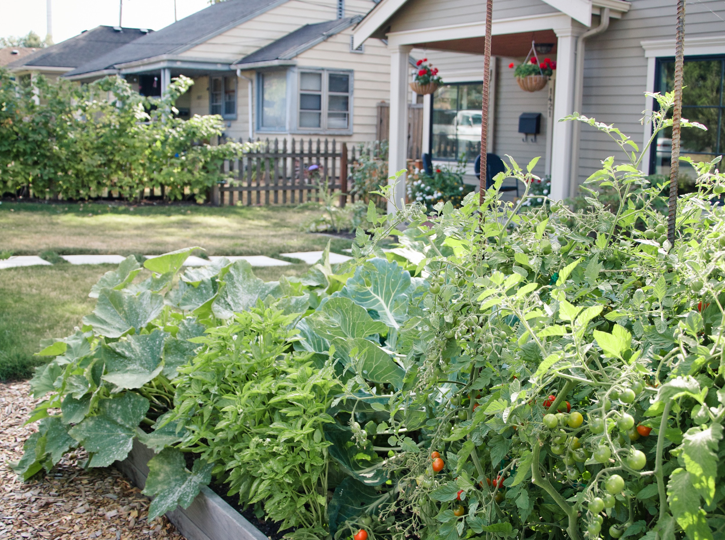 Front Yard Vegetable Garden_Seattle Urban Farm Company