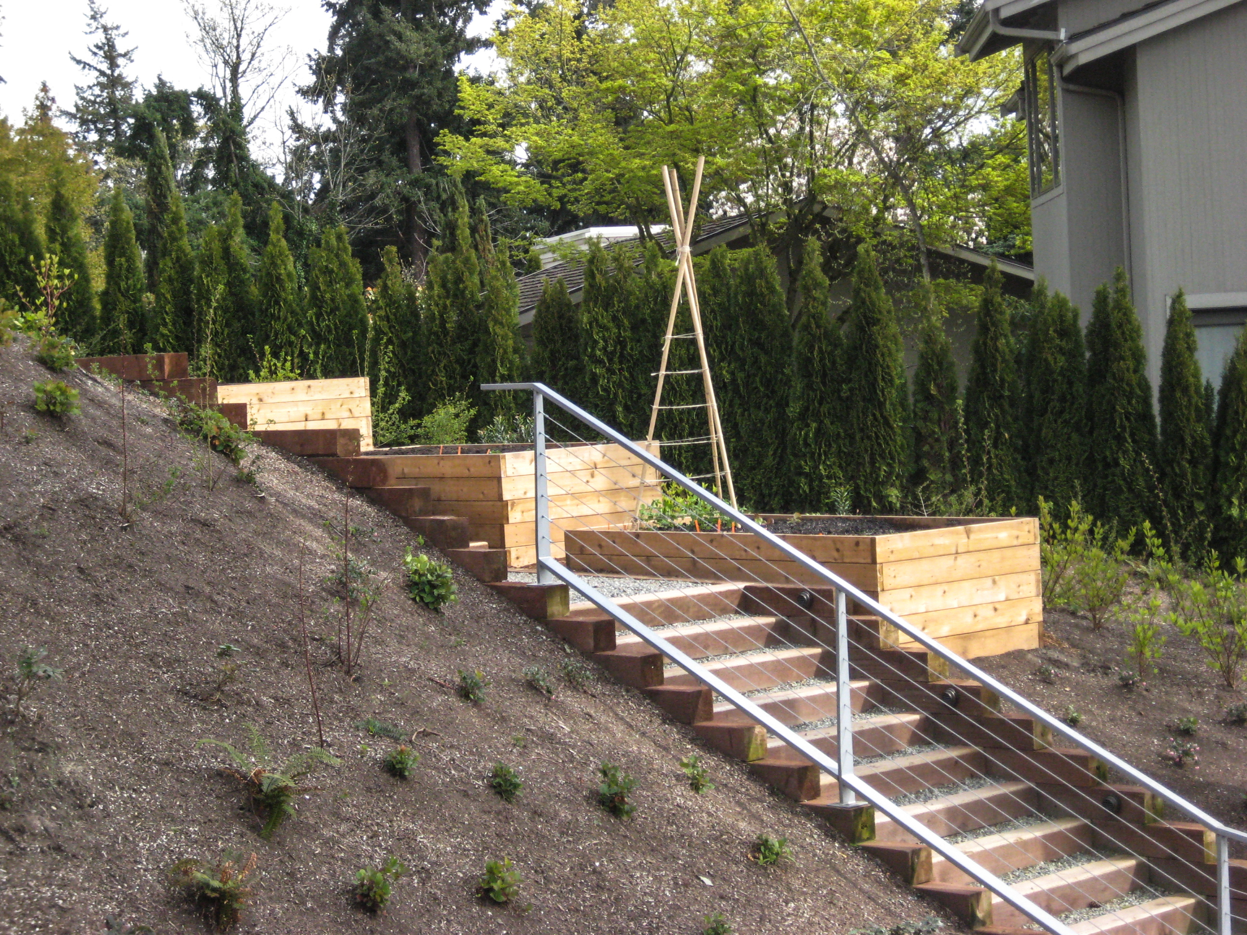 Terraced Bellevue Vegetable Garden Seattle Urban Farm Company