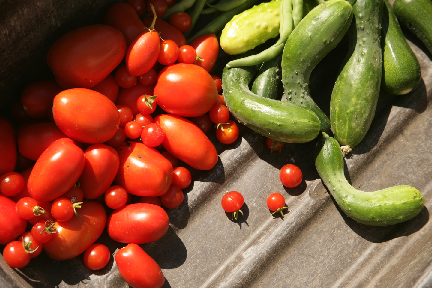 Pike Place Urban Garden