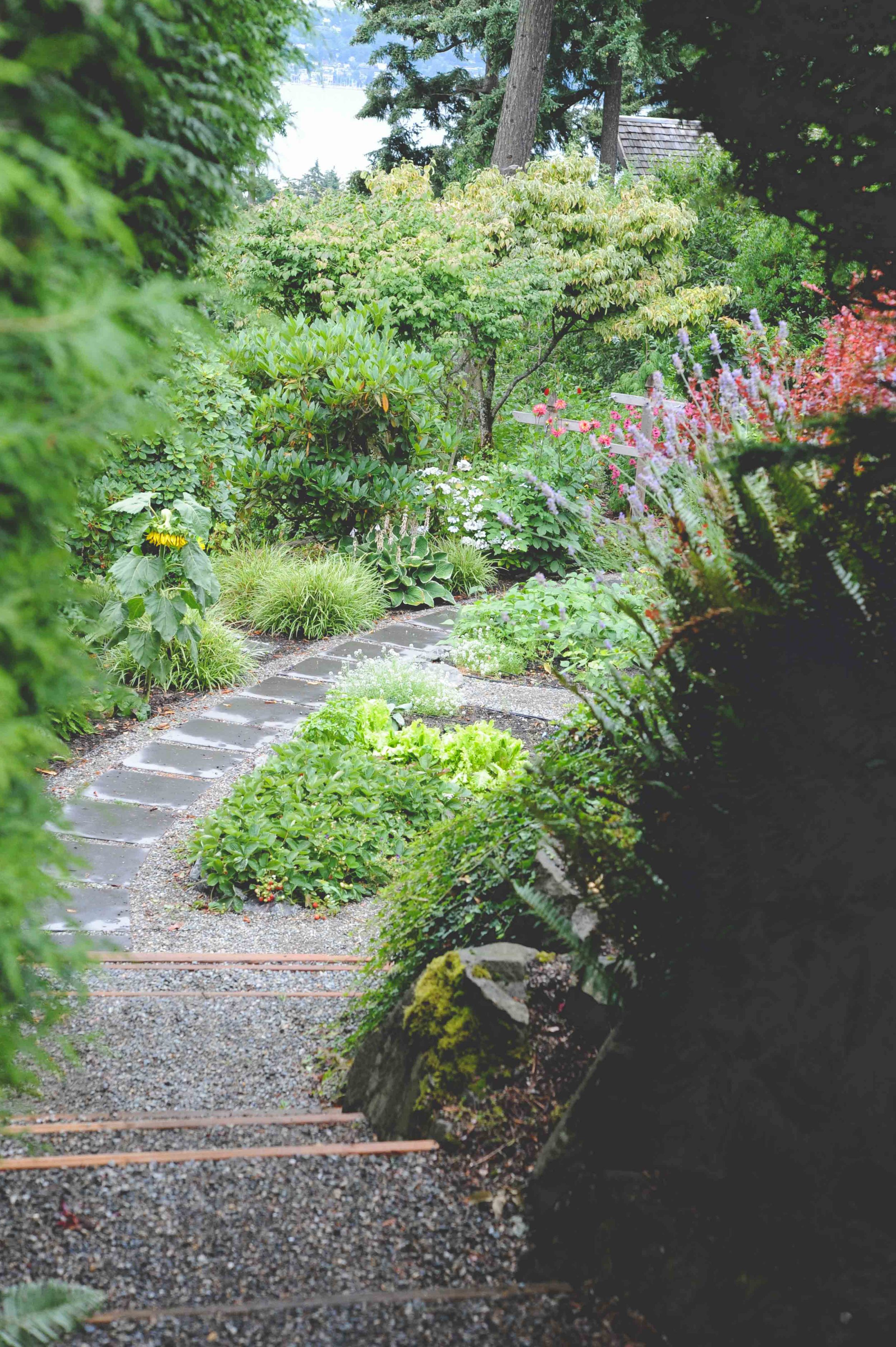 Mercer Island Vegetable Garden & Landscape Design_Seattle Urban Farm Company