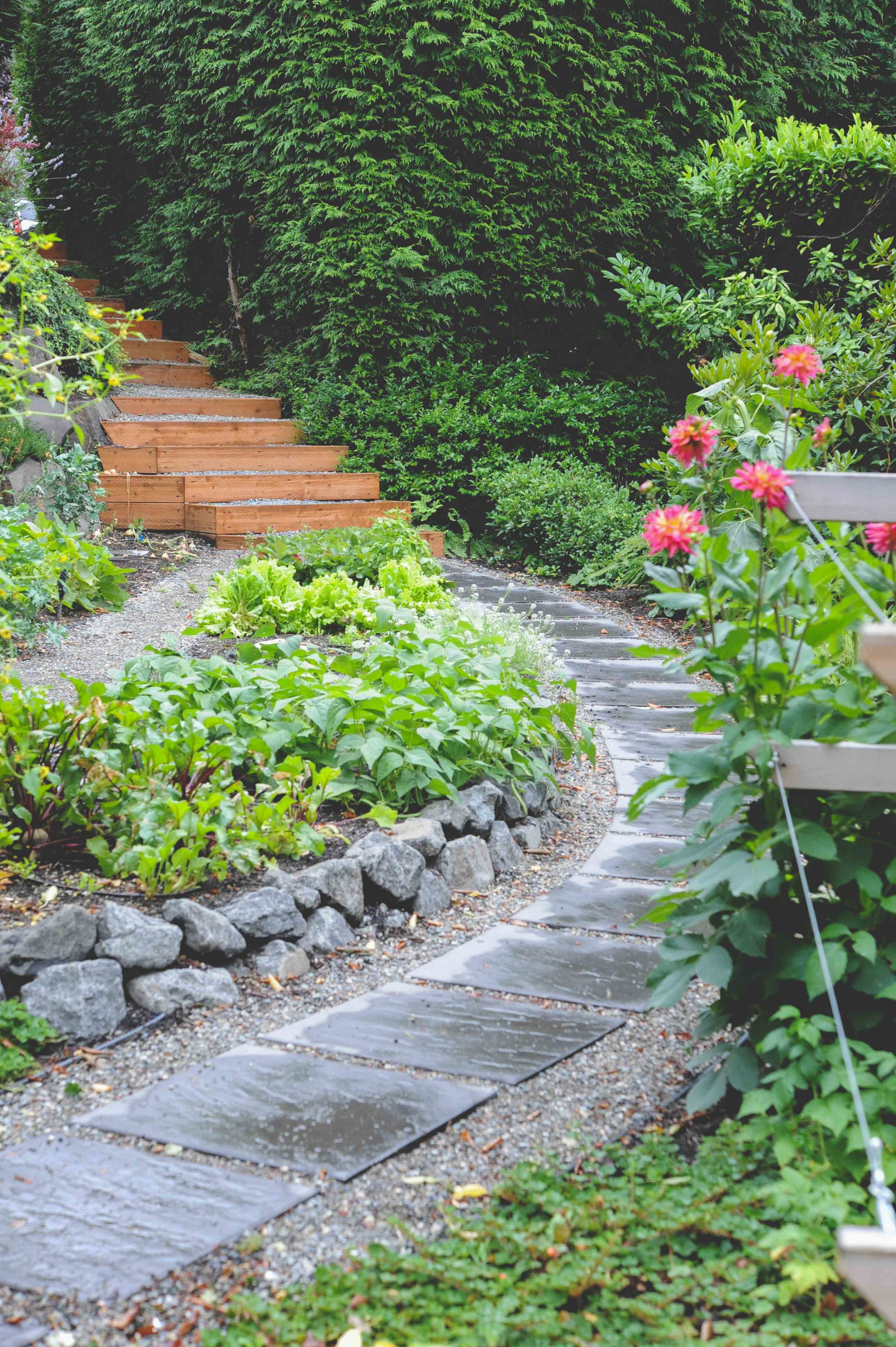 Mercer Island Vegetable Garden & Landscape Design_Seattle Urban Farm Company