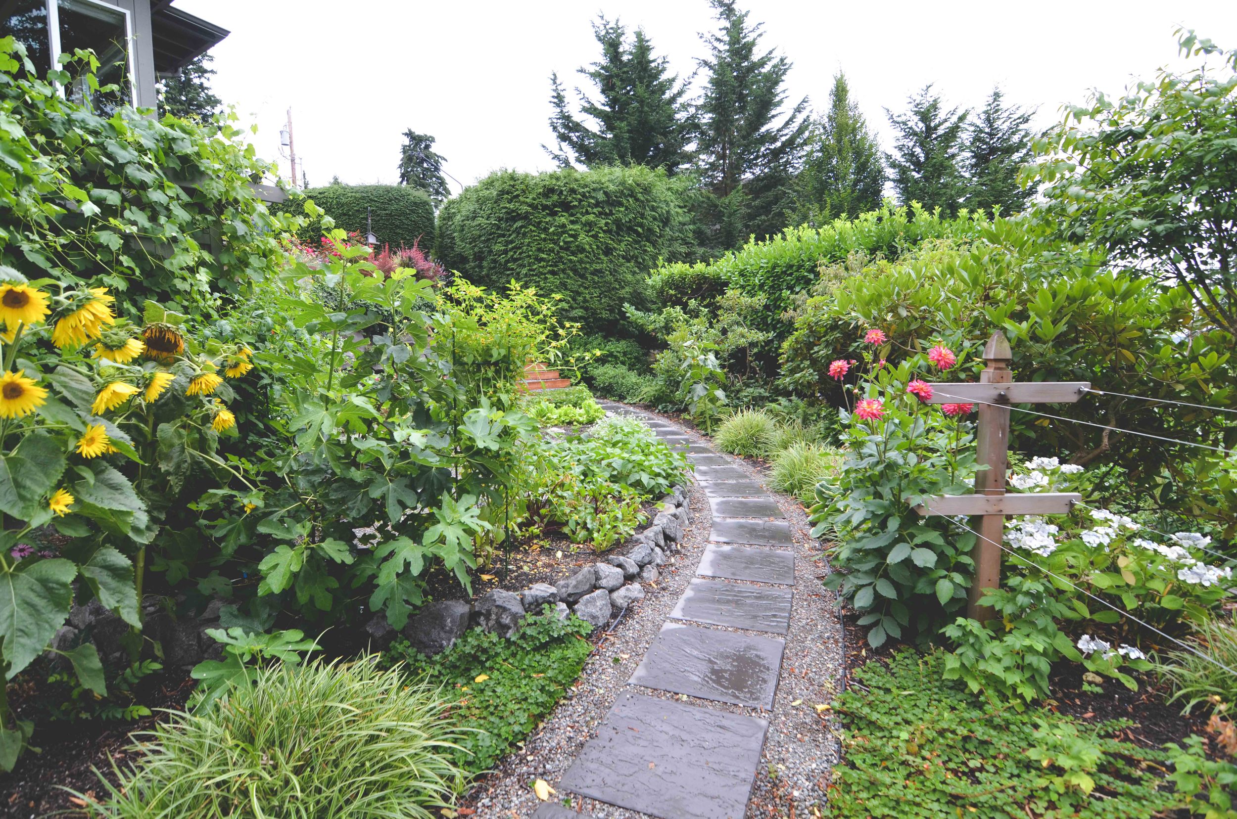 Mercer Island Vegetable Garden & Landscape Design_Seattle Urban Farm Company