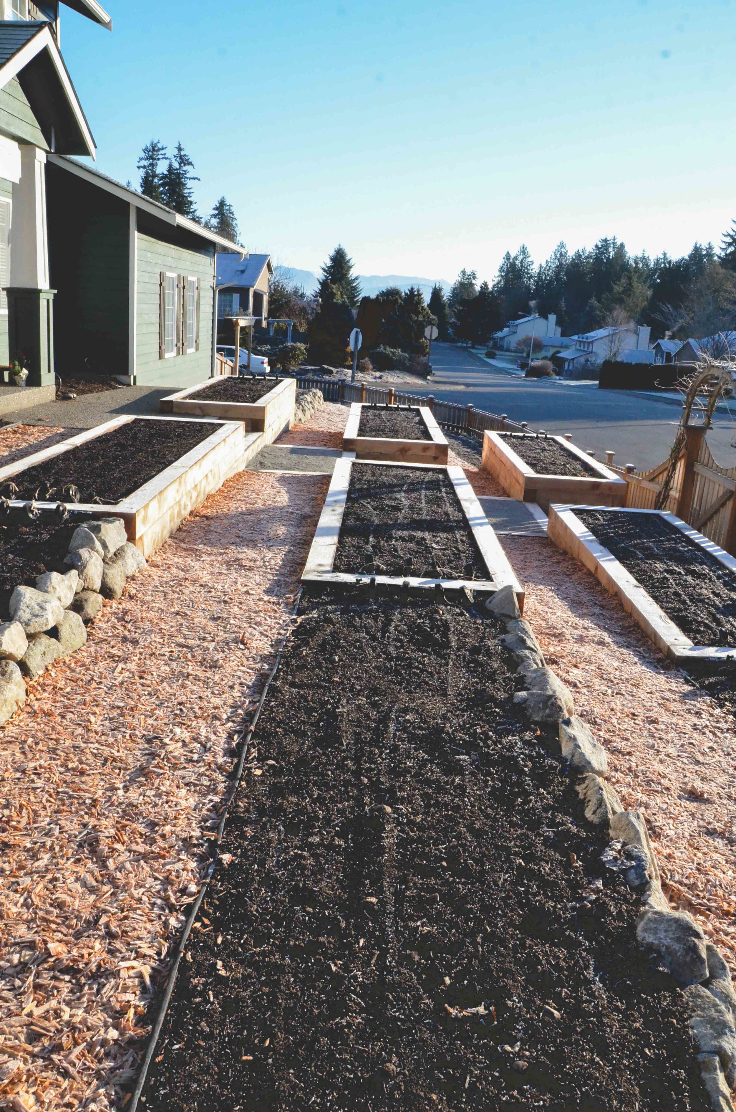 Suburban Front Yard Farm — Seattle Urban Farm Company
