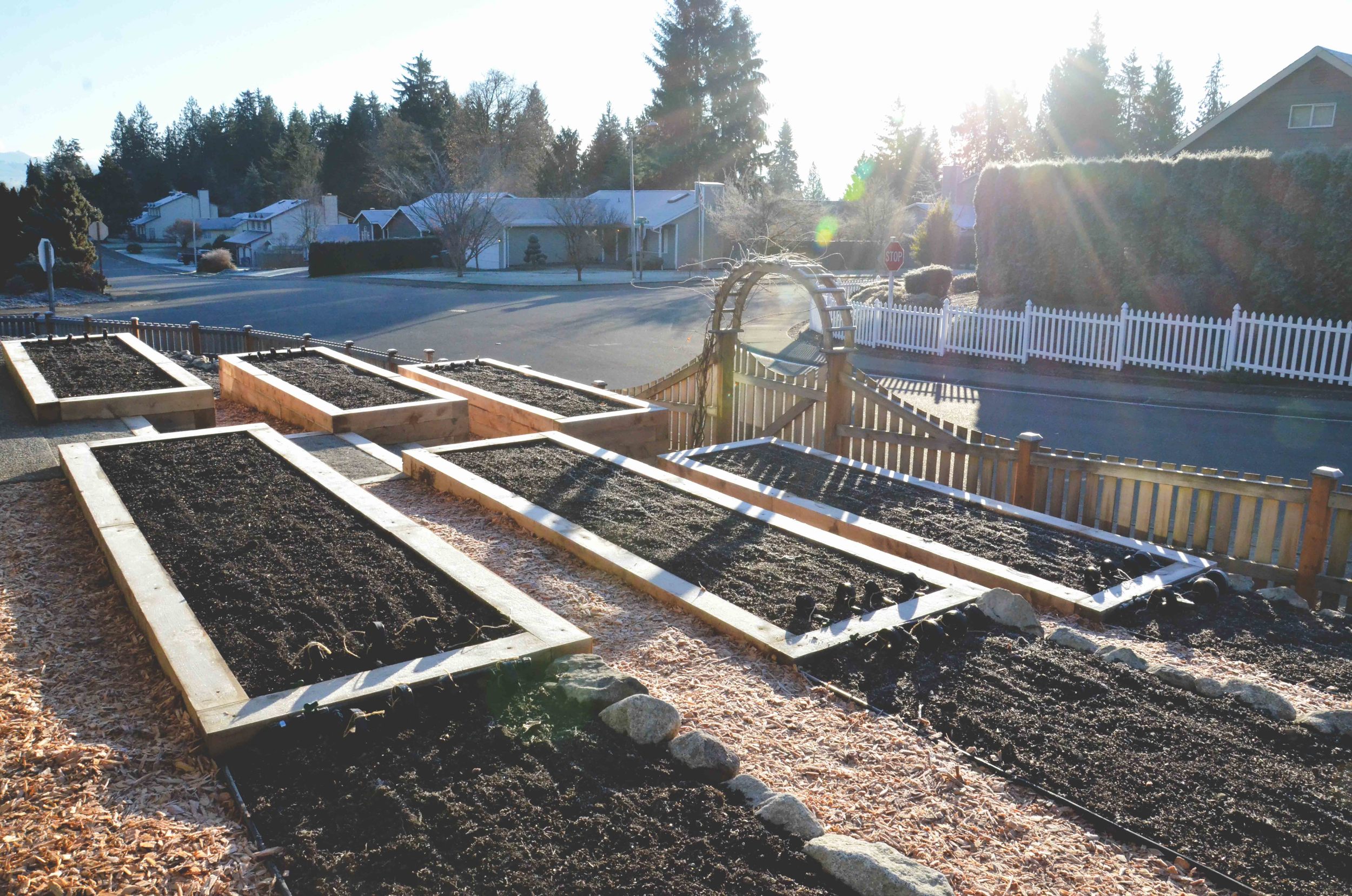 Suburban Front Yard Farm_Seattle Urban Farm Co. Design/Build