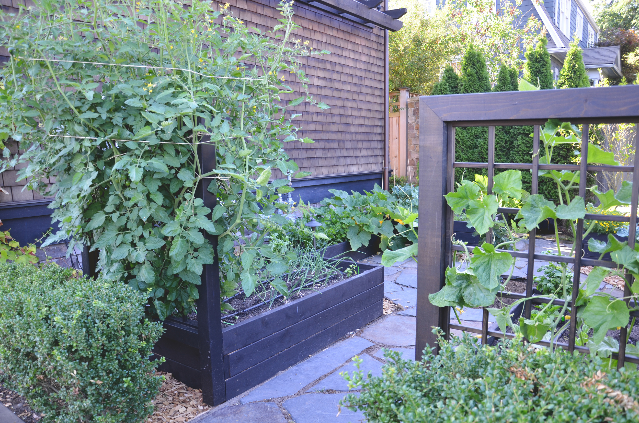 Kitchen Garden Design/Build by Seattle Urban Farm Company