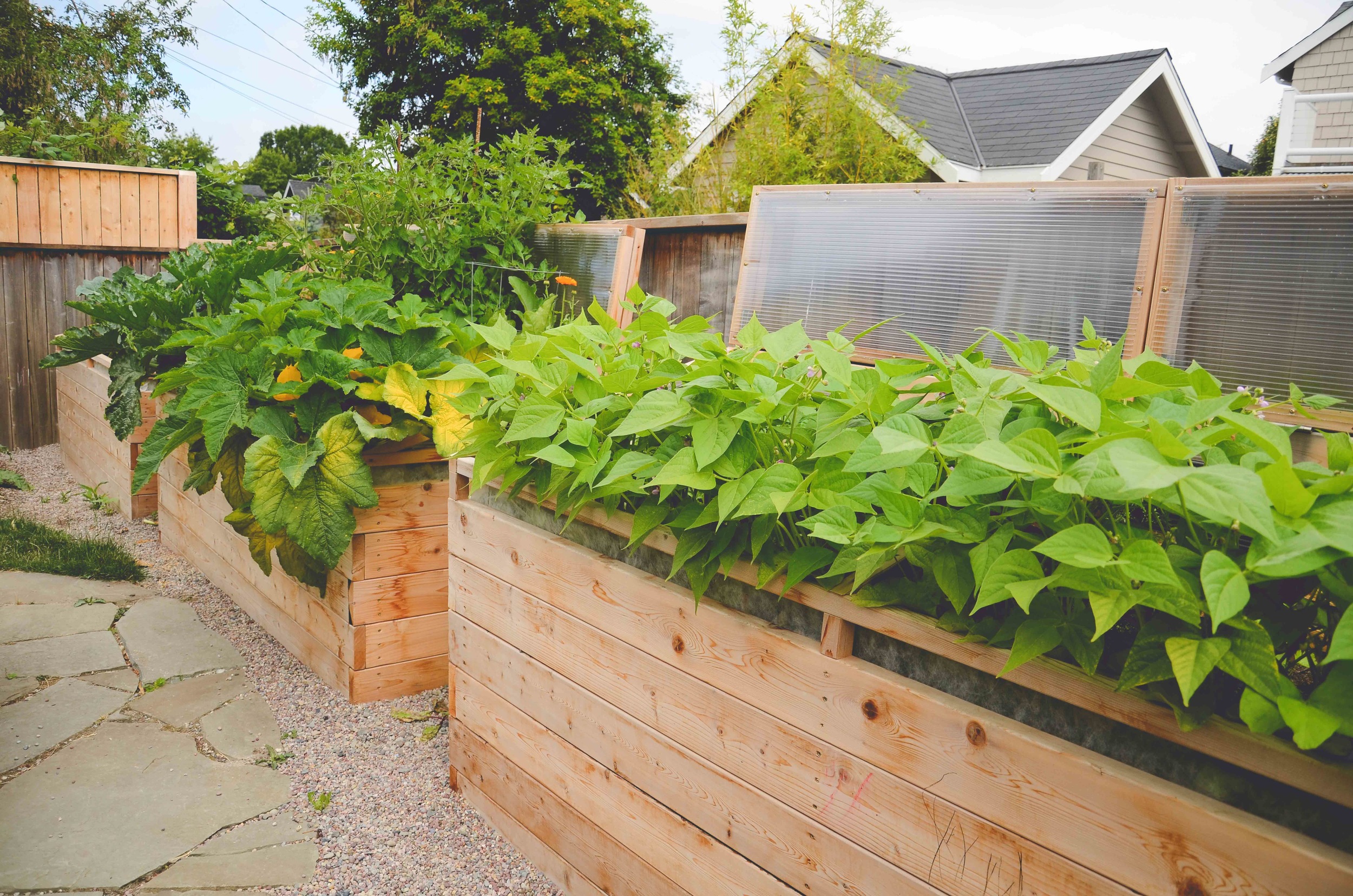 Tall Raised Beds With Coldframes Seattle Urban Farm Company