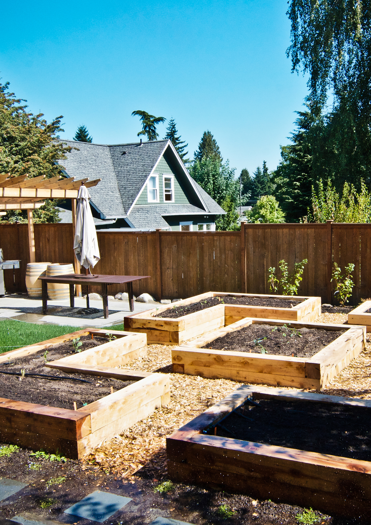 South Seattle Edible Landscape_Seattle Urban Farm Company_Raised Beds.jpg