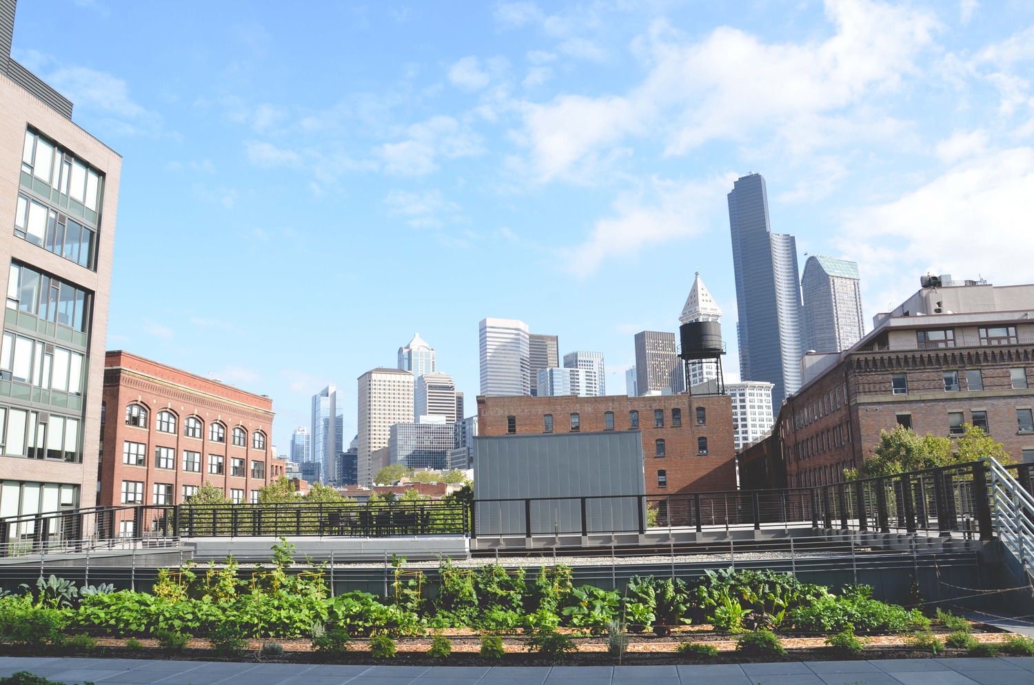 Seattle Urban Farm Company_Quality Athletics_Restaurant Farm_View.jpg