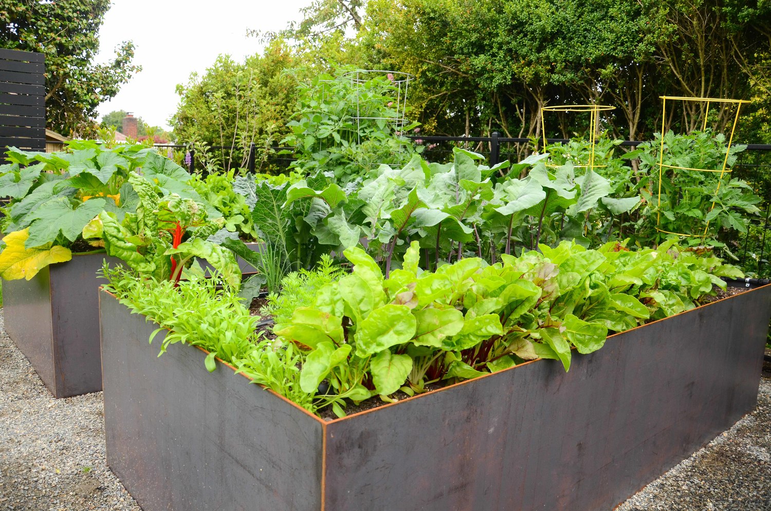 Steel Raised Beds_Seattle Urban Farm Company.jpg