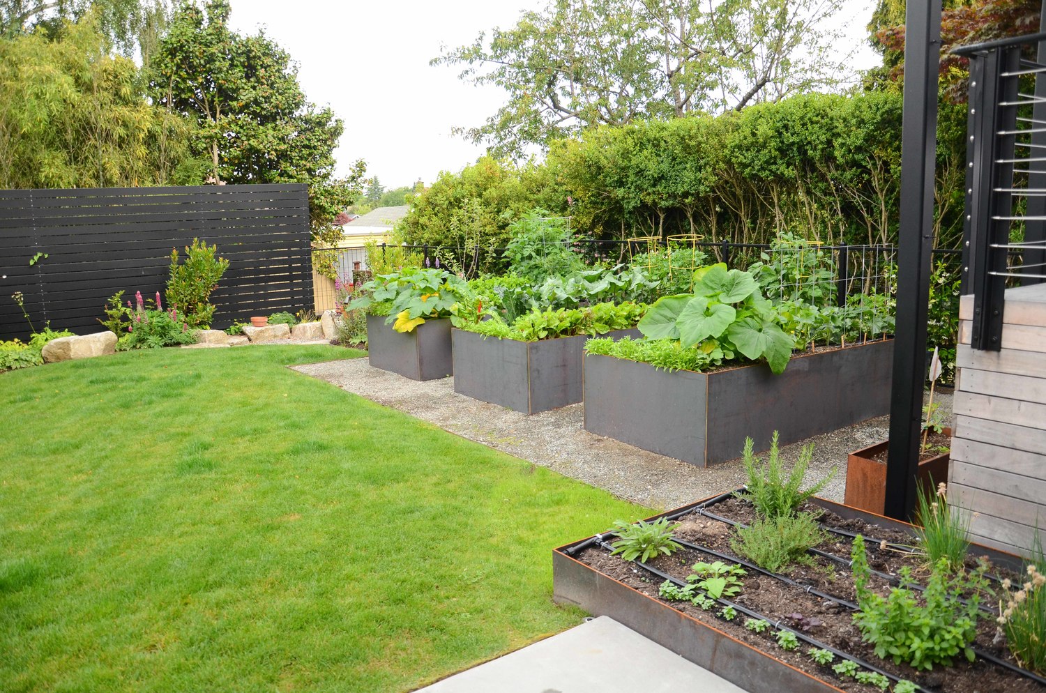 Steel Raised Beds2_Seattle Urban Farm Company.jpg