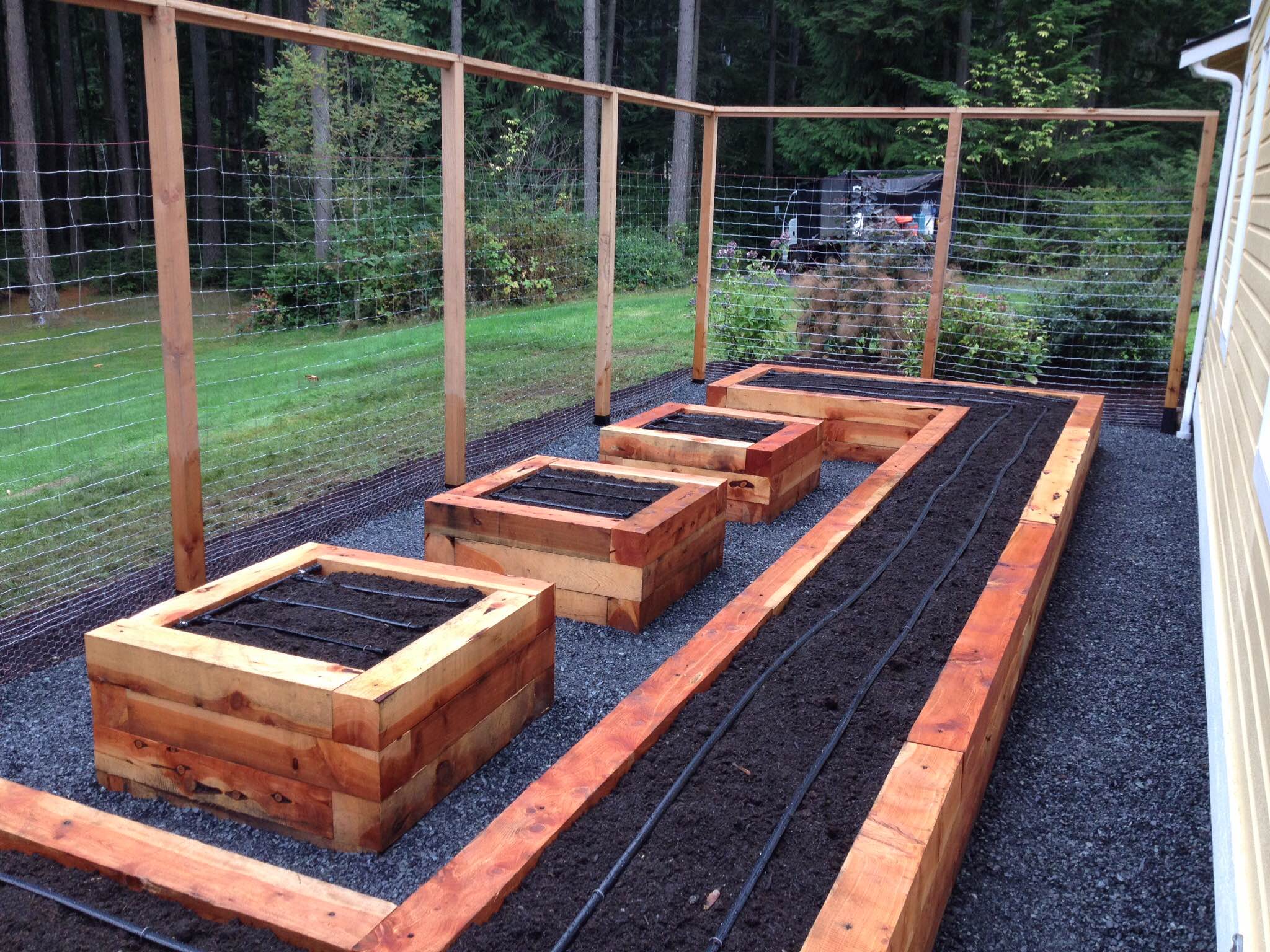 Enclosed Raised Bed Garden_Seattle Urban Farm Co.JPG