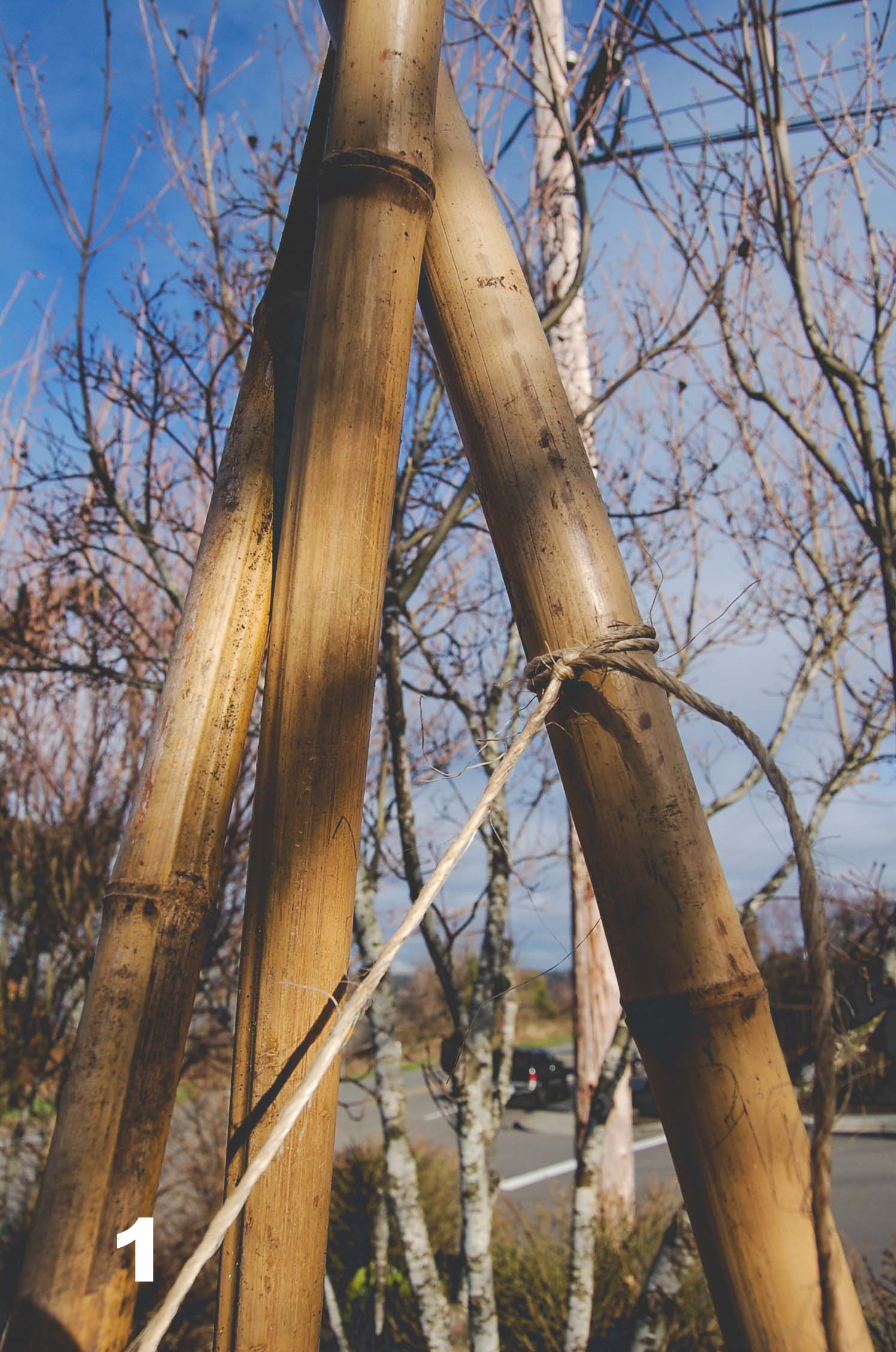  How to build a Bamboo Pea Tri-Pod by Seattle Urban Farm Co. 