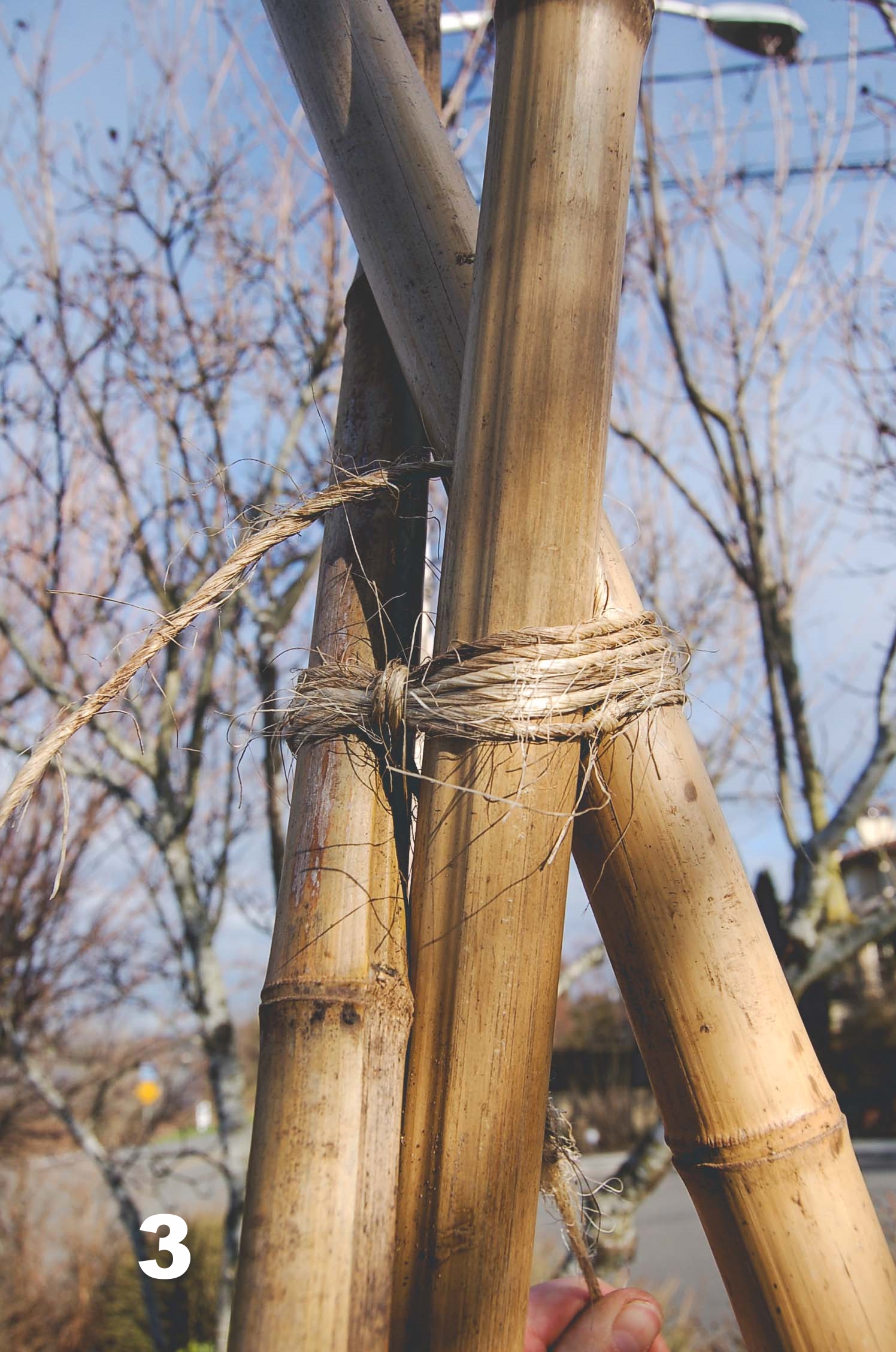  How to build a Bamboo Pea Tri-Pod by Seattle Urban Farm Co. 