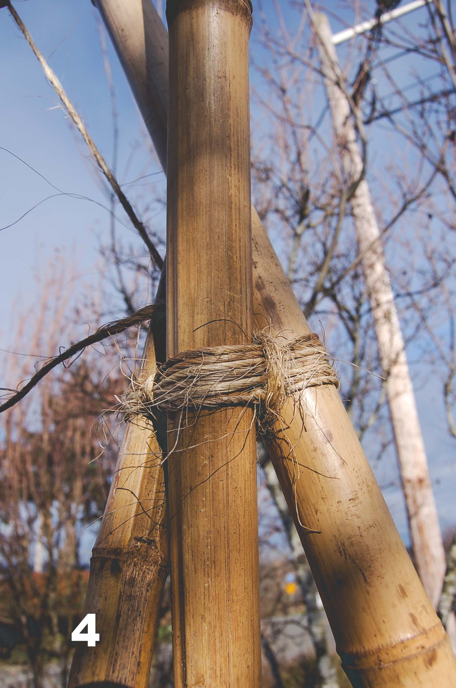  How to build a Bamboo Pea Tri-Pod by Seattle Urban Farm Co. 