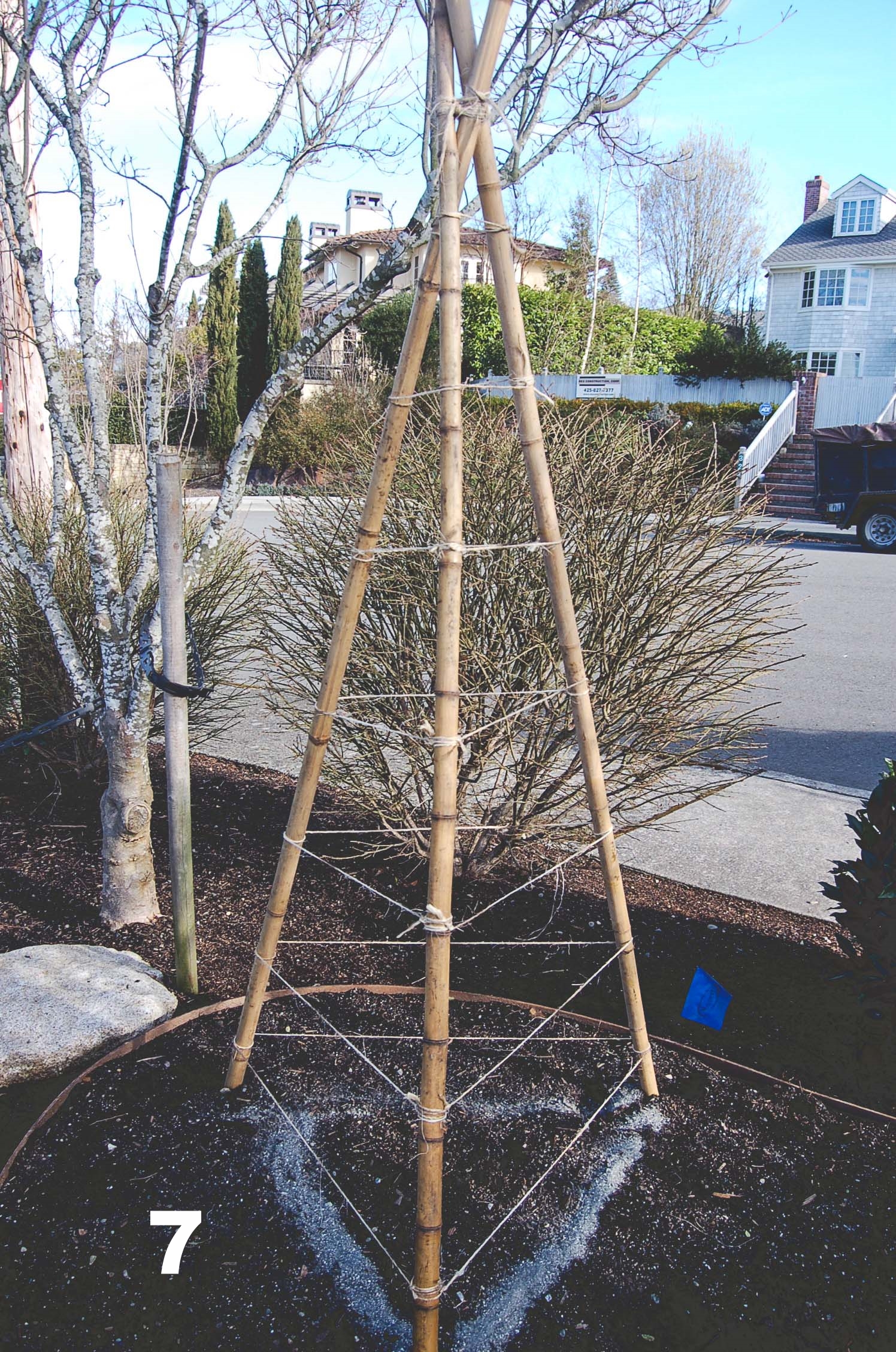  How to build a Bamboo Pea Tri-Pod by Seattle Urban Farm Co. 