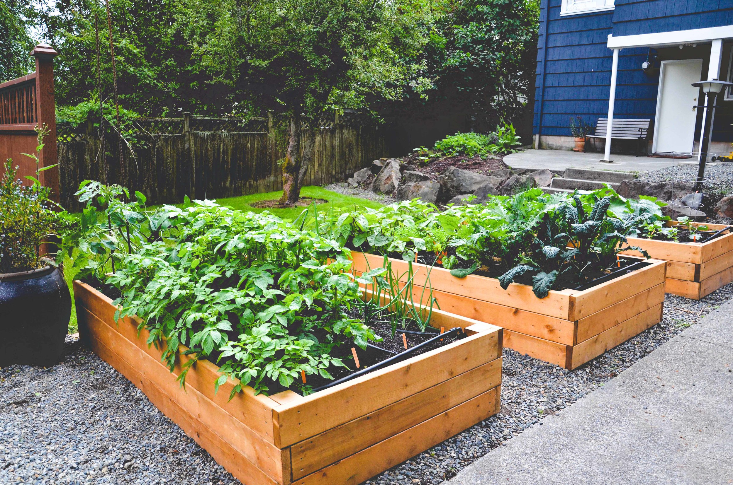 Site Selection For Edible Gardens Seattle Urban Farm Company