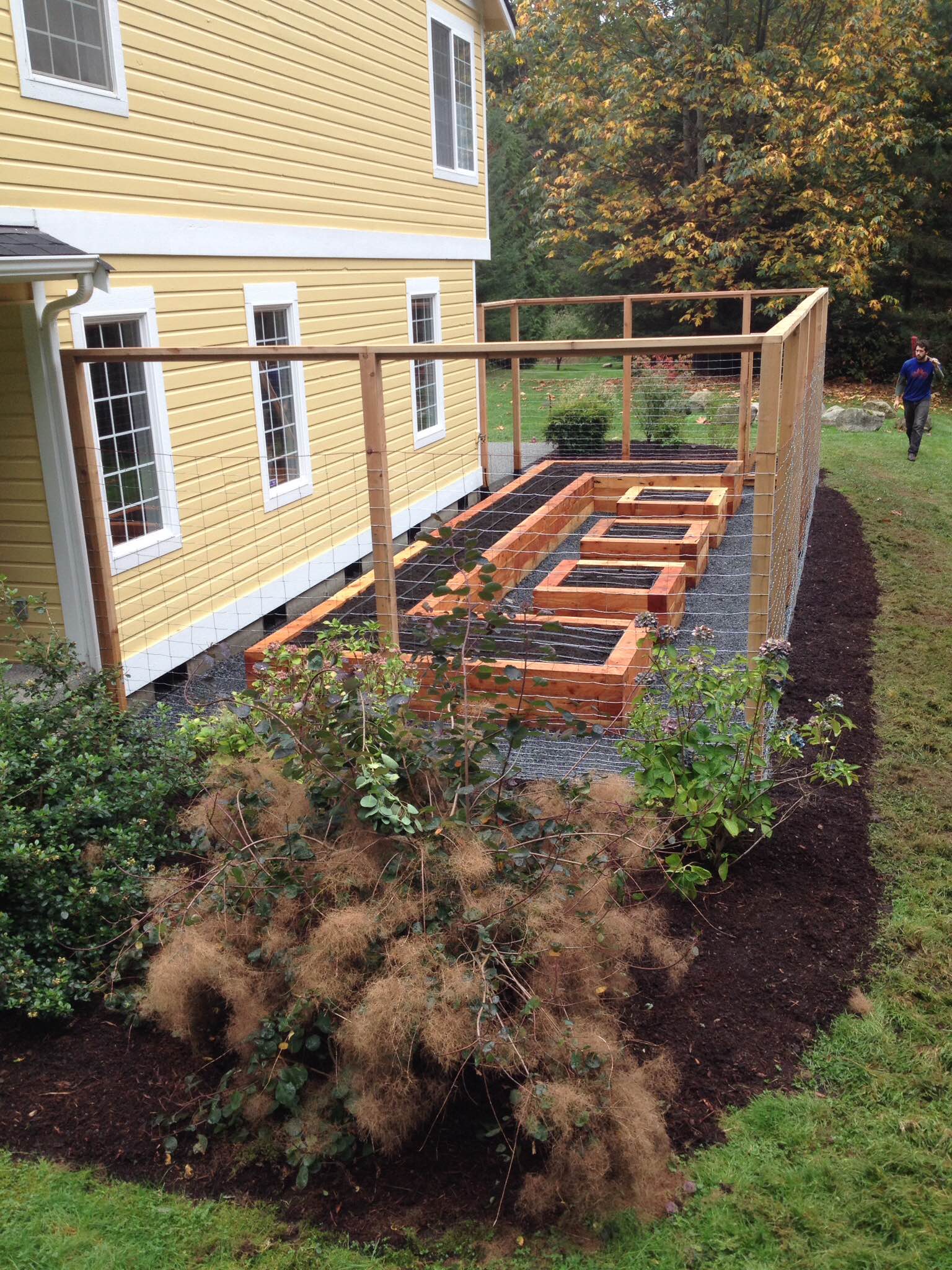 C-shaped raised bed with square beds.JPG