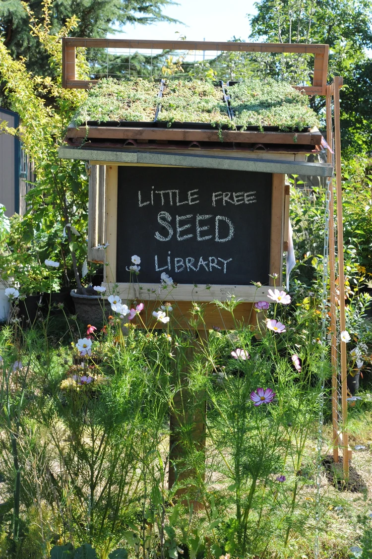 Seed Library Rooftop Multi-Faceted Little Free Seed Library for Flexible Surfaces