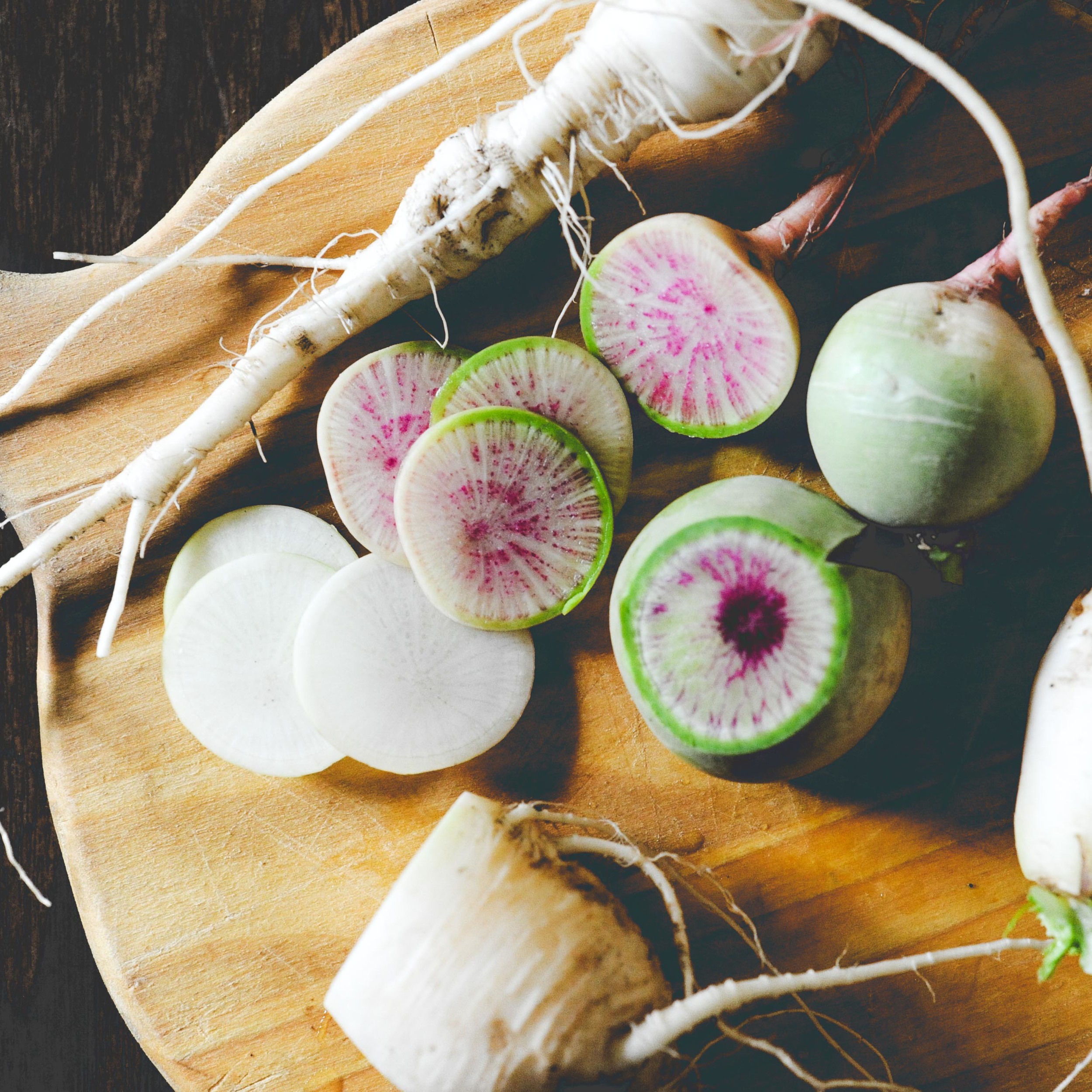 Fall Plant Palette Late Summer Planting Inspiration — Seattle Urban