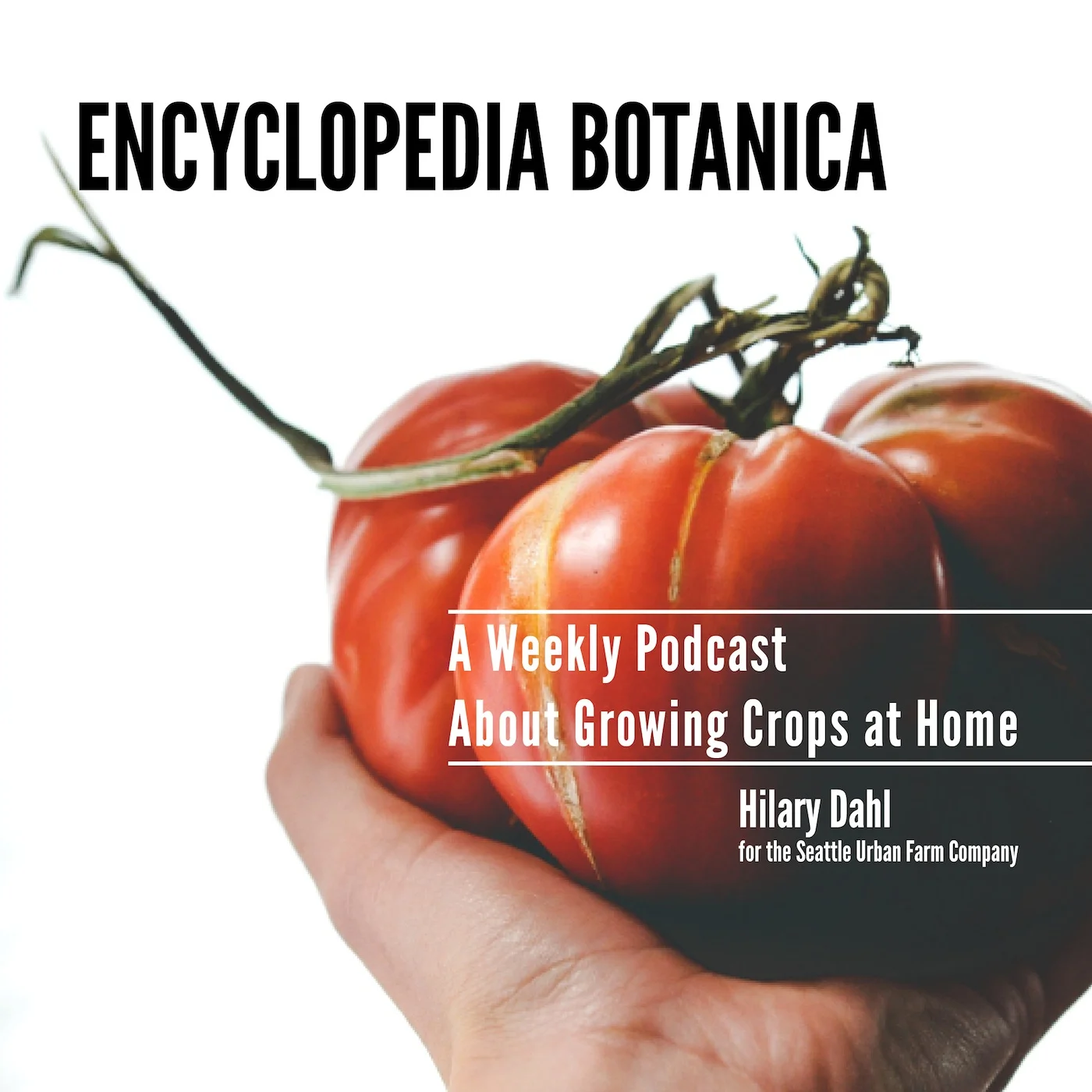 Encyclopedia Botanica Podcast 9: Peppers